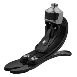 Prosthetic Feet